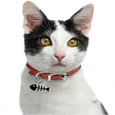 Metall Bunt Fischförmig Cattag Halsband Zubehör Katze Haustier Halsband Anhänger Gravierte Ausweiskarte Feiertagsgeschenk