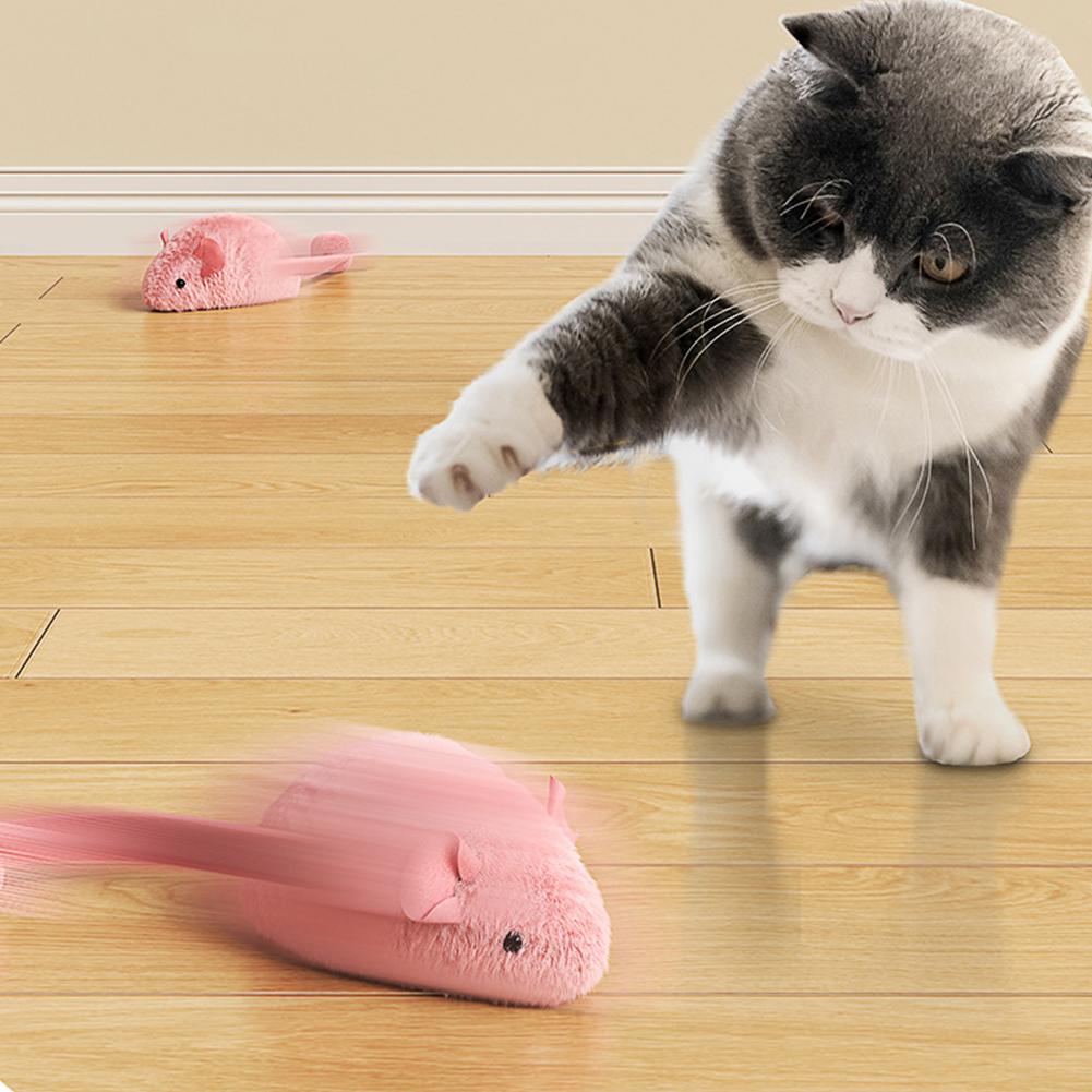 Interaktives Quietsch-Katzenspielzeug Leuchtet im Dunkeln Simulierte Maus Quietsch-Katzenübung Jagd Nachtunterhaltungsspielzeug Katzenzubehör