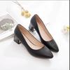 Spring and summer four seasons new pointed thick heel high heels women's mature casual professional dress work shoes women's single shoes