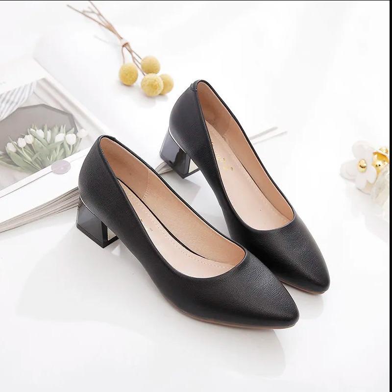 Spring and Summer Four Seasons New Pointed Thick Heel High Heels Women's Mature Casual Professional Dress Work Shoes Women's Single Shoes