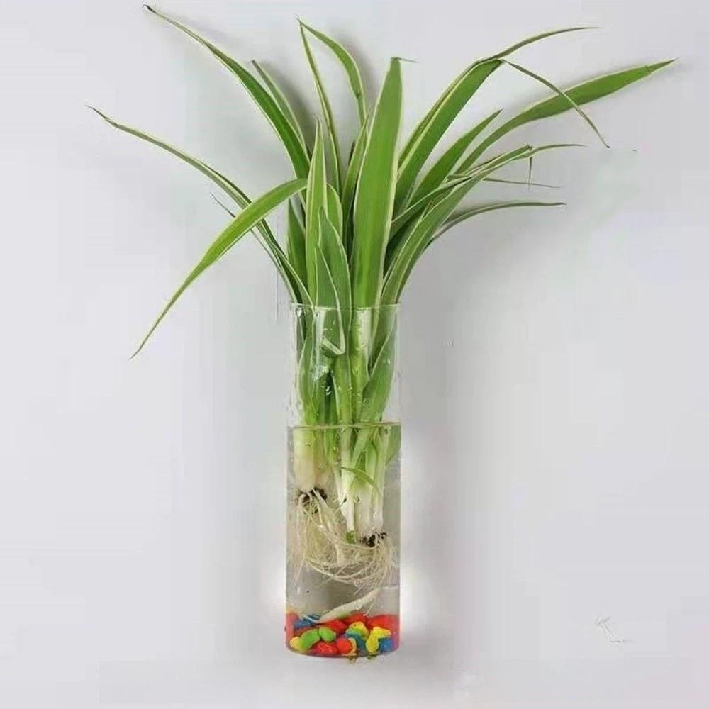 Transparent Glass Wall Mounted Flower Pot Vase Wall Decoration Flower Pot  Living Room Decor