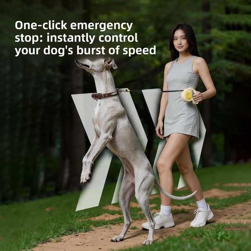 Automatic Retractable Dog Leash for Dog Control - Golden Retriever and Border Collie Dog Walking Rope