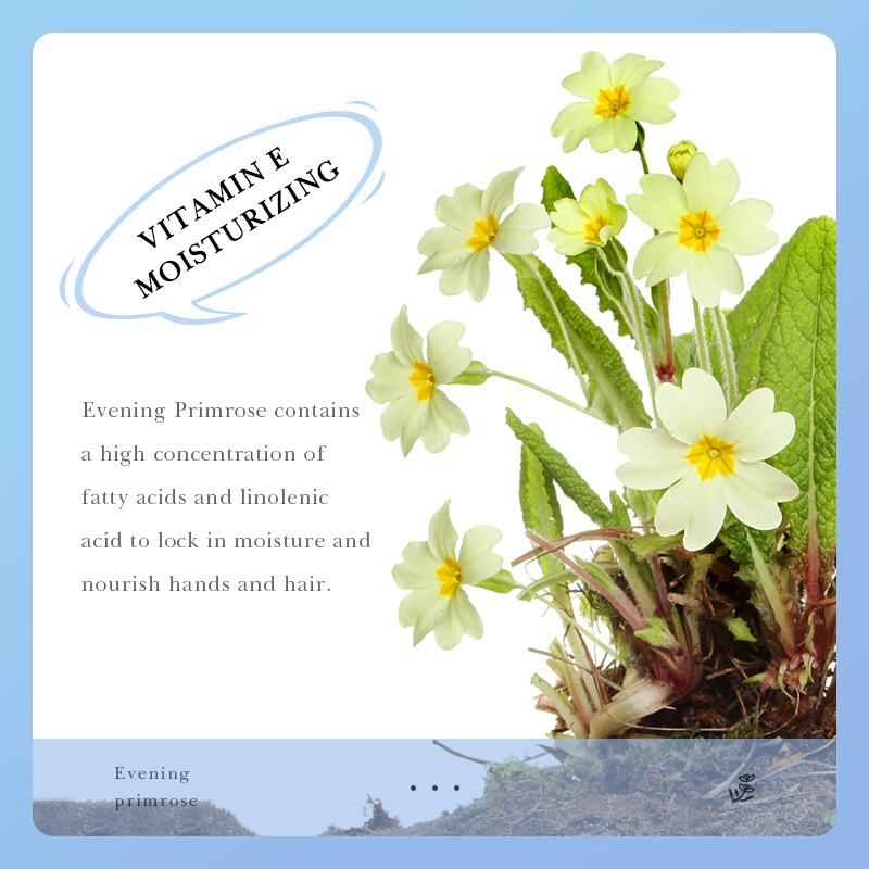 Feuchtigkeitsspendende Handcreme mit Vitamin E. Nachtkerze. Feuchtigkeitsspendende Handcreme gegen Rissbildung