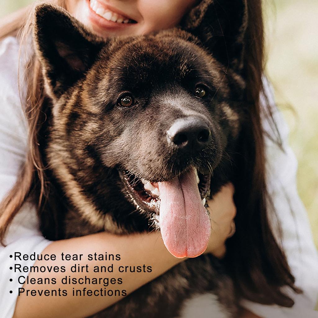 Lingettes pour les yeux de chien Lingettes pour les yeux de chien Éliminateur de taches de larmes Lingettes pour les yeux pour chiens et chats Éliminez en douceur les débris de décharge Lingettes pour les larmes