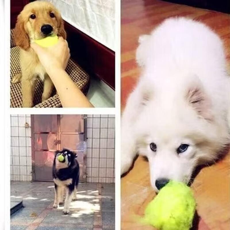 LISM Durable Dog Training Tennis Balls