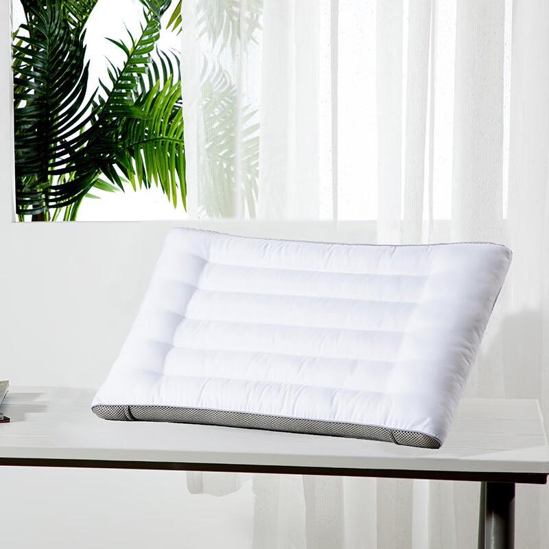 

Mercury Home Textiles Belive Lavender Antibacterial Pillow