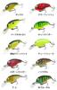 Jackall Geronimo Chico Flat Crankbait 44mm Spawn Tiger 6.3g