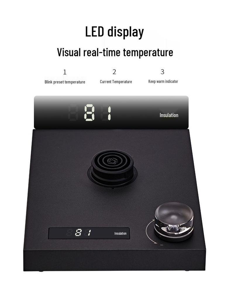 Cafetière à filtre intelligente avec contrôle de température, bec verseur fin isolé et long - Bouilloire électrique tout-en-un