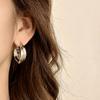 Retro Simple Double Ring Geometric Earrings Niche High-end Women's Unique Ear Buckle Light Luxury 100% Match Daily Wear Pins