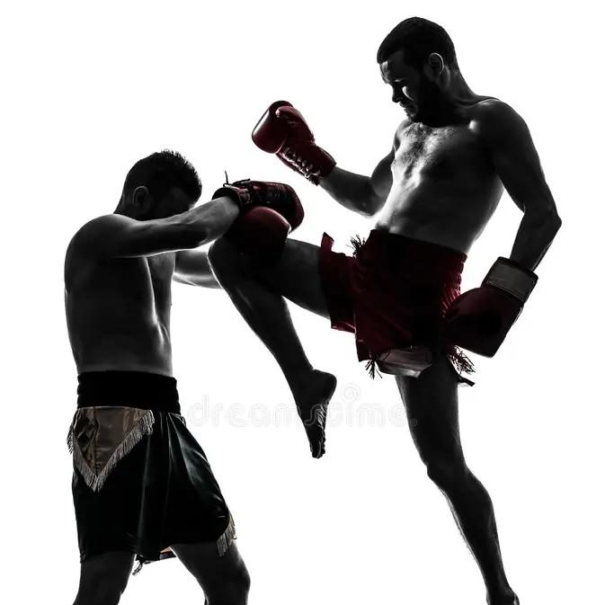 Dragon Muay Thai Boxing Kickboxing Shorts 3D Print Fighting Training Unisex Men Women Quick Dry Fitness Gym Sport Workout Casual Streetwear