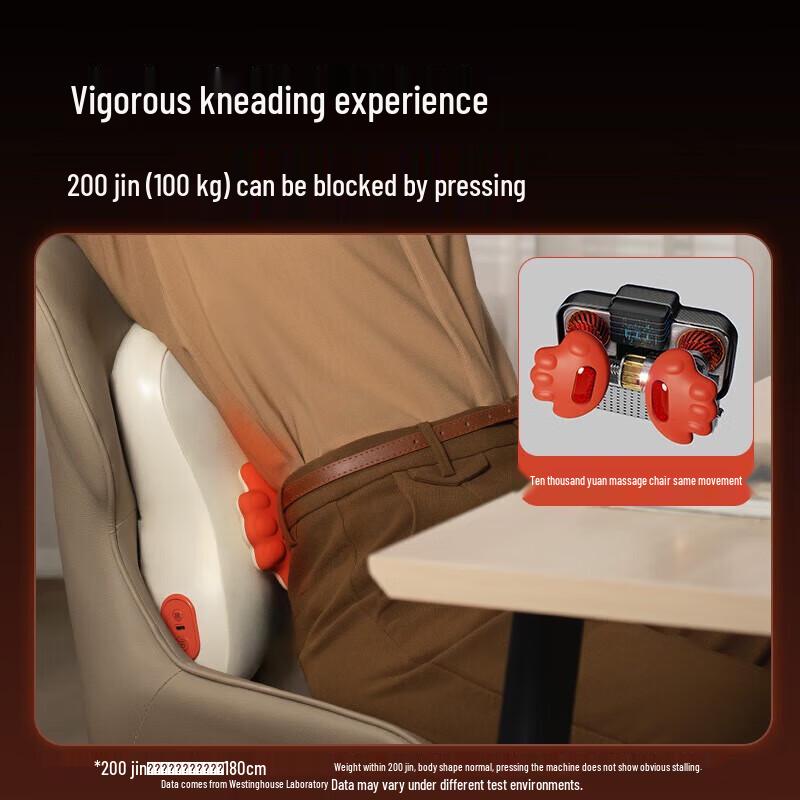 Westinghouse BX5 Heated Massage Cushion