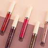 Non-stick 2.5ml Matte Liquid Lipstick for Women