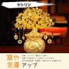 MYONEEN Money Tree Feng Shui Interior Good Business Power New Present Golden (Citrine) - Item, Decor, Fortune-Bringing, Luck, Prosperity, Stone, Gift,