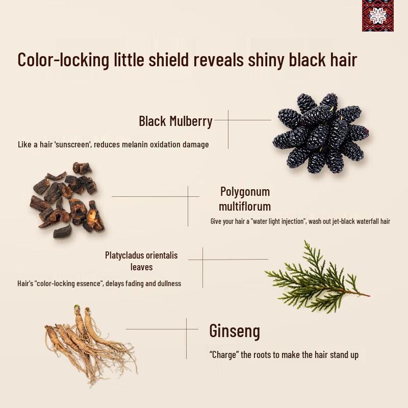 Long Hair Xiaozhai Ginseng & He Shou Wu Shampoo