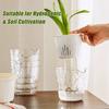 Self Watering Flower Pot Plastic Planters With Drainage Hole & Clear Saucer Hydroponic Plant Pots Lazy Flowerpot Home Decoration
