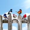 Colorful Metal Bird Enhancements Pack Of 5 For Garden Fence Yard