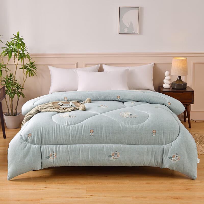 

Manyaju Ginger Warm Fleece Winter Quilt