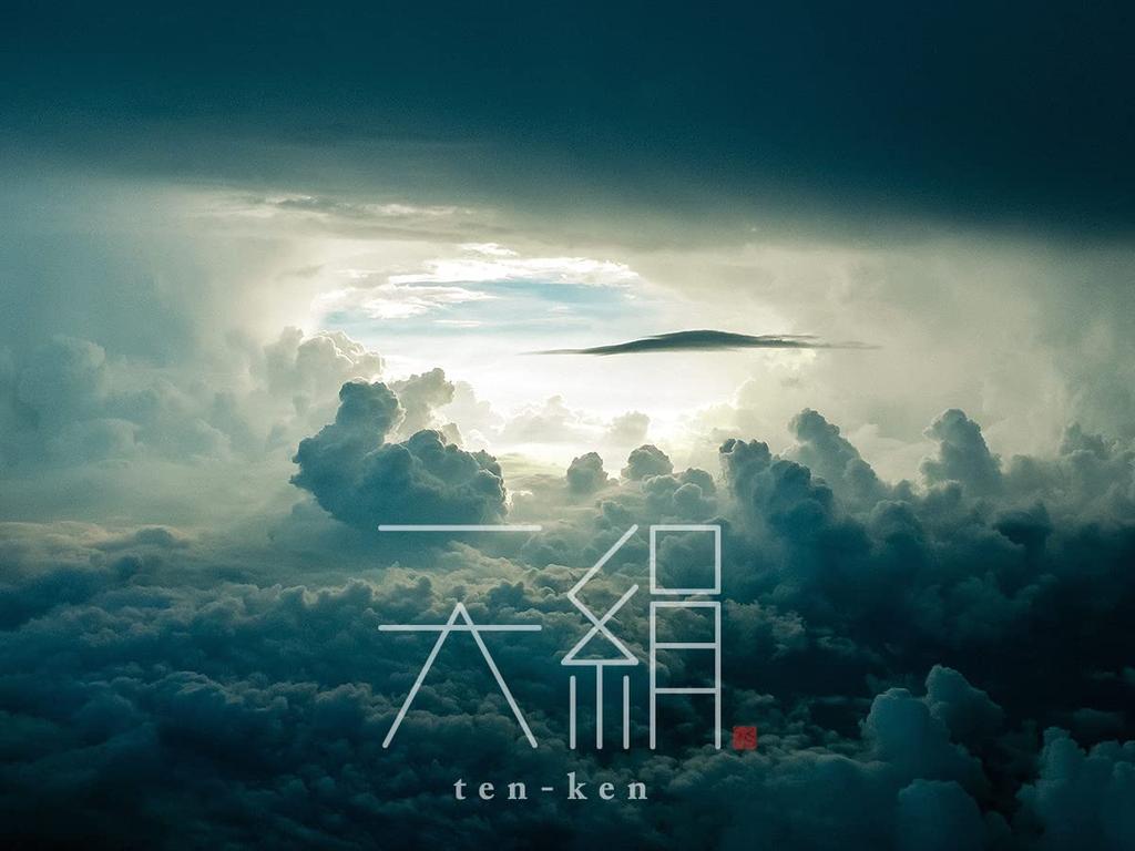 Tenken 2 Satin Washable Pillow 44 x Silk-blend Pad, 100% Wool, 65cm, White, TK-PP30202