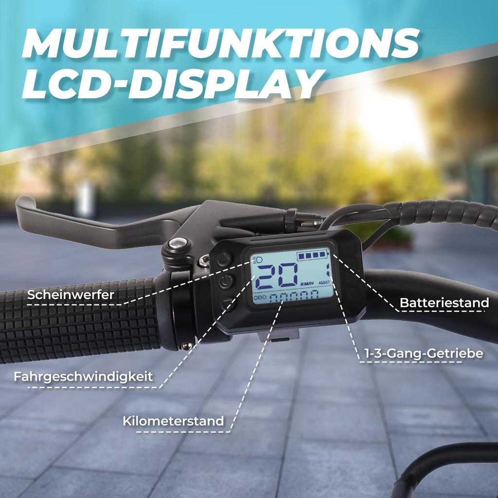 VARUN C7008 Elektrische Fiets met Voorrekje 28Inch Stadsfiets met 36V 10Ah Batterij