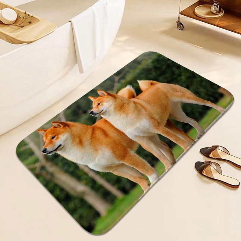 Bathroom Mat Shiba Inu Rug for Bedroom Doormat Entrance Door Living Room Bedroom Floor Carpet Anti Slip Modern Home Decoration