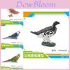 Realistic Pvc Bird Model Collection Featuring Colorful Parrots Owls And Magpies For Home Decor