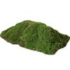 Artificial Green Moss Decor for Indoor Plants and Micro Landscapes
