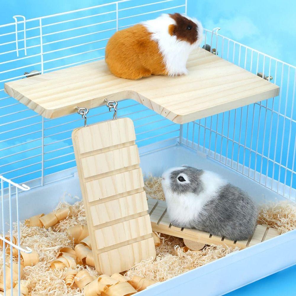 Small Sheds For Guinea Pigs Pantula Guinea Pig Bed House Cave