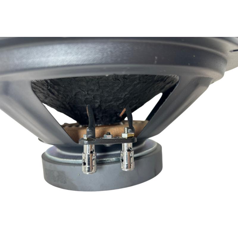 

10 120W KTV Speaker Subwoofer with 120 Magnets and Deep Bass for Home Theater