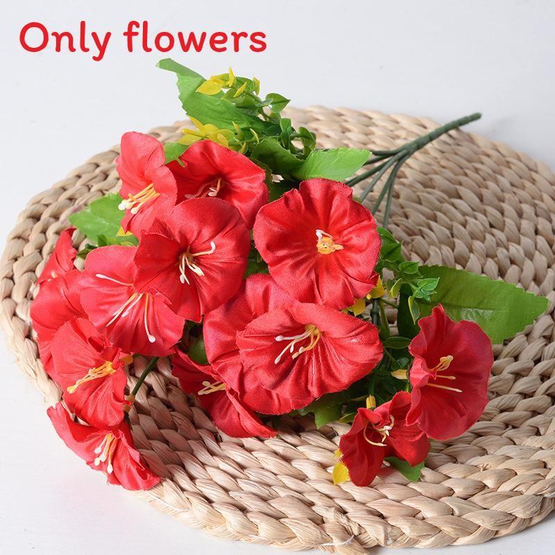 

Pharbitis Artificial Nil Linn Choisy With Multicolor Options For Wedding Decor Bright Red