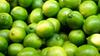 10 LIME SEEDS Fresh Seeds