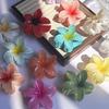3 Pcs Hawaiian Gradient Flower Hair Claw Clip Women Fashion Large Hair Clip Girls Hairpin Barrettes Bohemia Hair Accessories