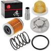 Oil Drain Plug & OIL FILTER + OIL STRAINER + Spring For YAMAHA Raptor 350 Warrior 350 Big Bear 350 400 Wolverine 350 Moto 4 YFM350ER
