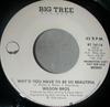 7inch Record WILSON BROS.  Whyd You Have To Be So Beautiful BT16116 Big Tree Record 1978 US Rock Used