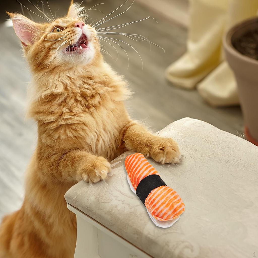 Cat Nip Toy, Funny, Soft, Interactive Cats Toy,Kitten Entertaining Toys for Cats, Kitty