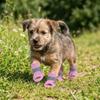 4Pcs/Set Non-Slip Summer Dog Shoes Adjustable Hollow Puppy Shoes Mesh Foot Covers  Outdoor Hiking