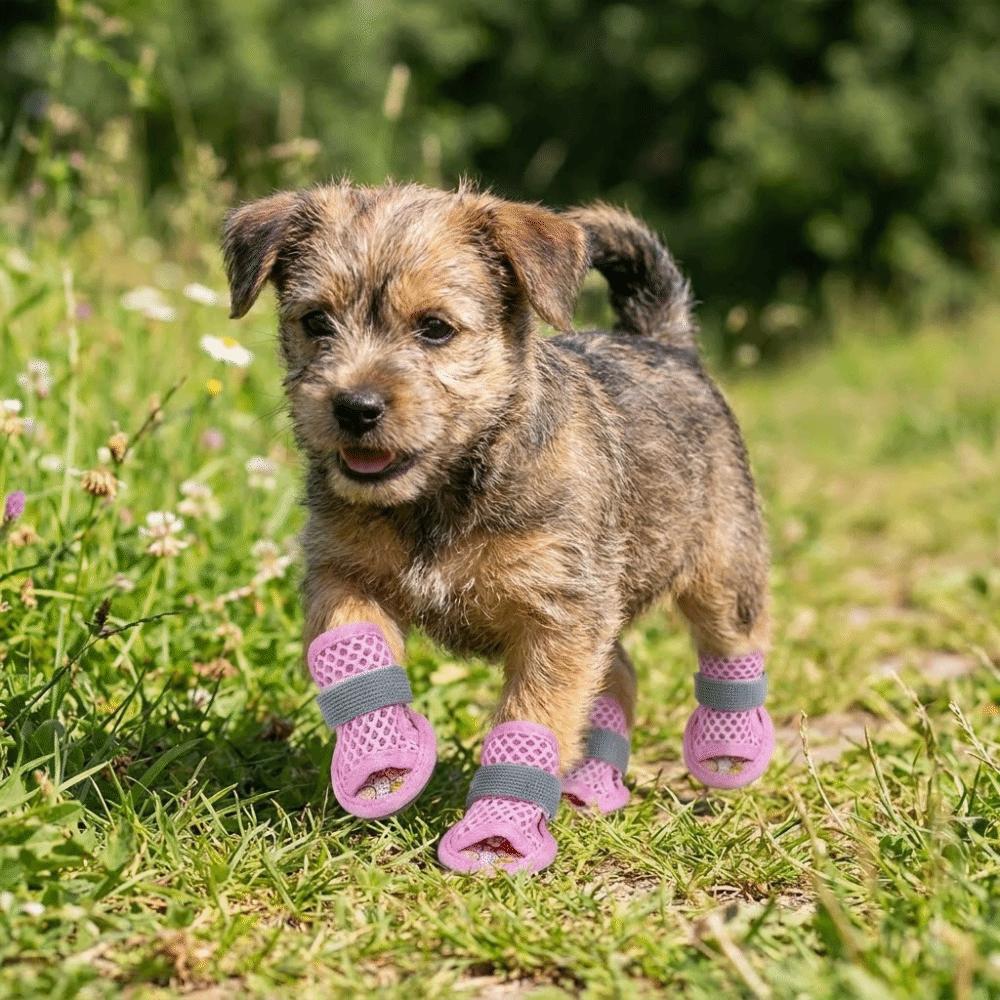 4Pcs/Set Non-Slip Summer Dog Shoes Adjustable Hollow Puppy Shoes Mesh Foot Covers  Outdoor Hiking
