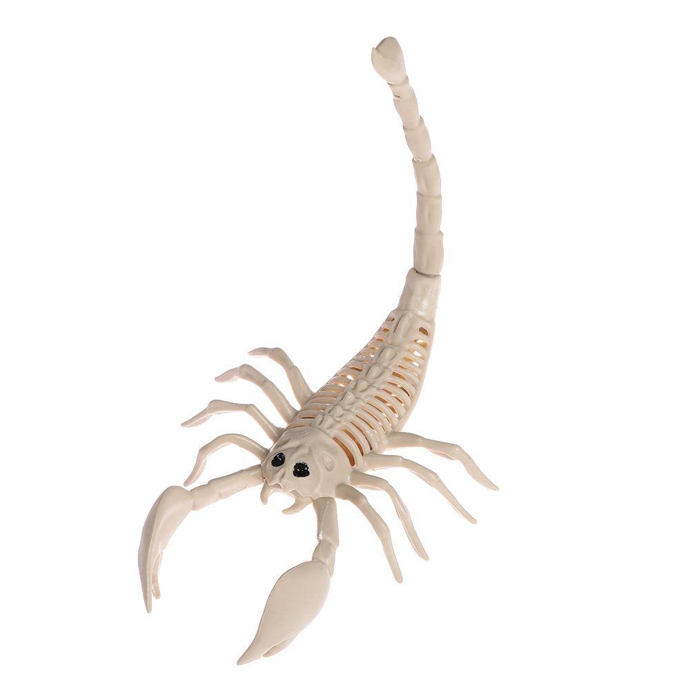 Décoration Halloween Squelette Animal Os Araignée Effrayante Chauve-souris Souris Scorpion Lézard Os Ornements Hallowmas Accessoires Horreur Fête