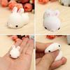 Soft Cute Rabbit Squishy Healing Squeeze Stress Reliever