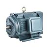 Three-Phase Variable Frequency Speed Control Motor YVP-112M-4KW 5.5/7.5/11KW 15KW Vertical
