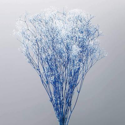 Ohchinouen Daichi Farm Trockenblumen Mini Schleierkraut Schleier L 22g Weiß/Blau Ca.. 40,0 cm DO000015-016