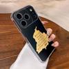 Punjab Map  Phone Case For iPhone 17,16,15,14,13,12,11 Pro,Max,Plus,X,XS,XR,SE4,E Mini Transparent Soft Cover