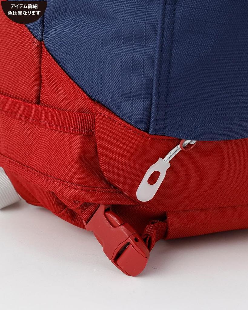 Dakine HELI PRO 24L RUB F Snow Bag