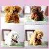 Mignon Petit Chien Teddy Peluche Jouet Porte-clés Doux Rembourrage Coton PP Charme de Sac à Dos