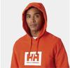 Helly Hansen Box худи