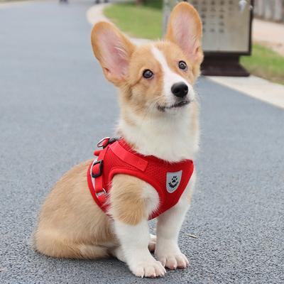 Dog Harness and Leash Set Reflective Adjustable Mesh Vest for Small Dogs Puppy Cats
