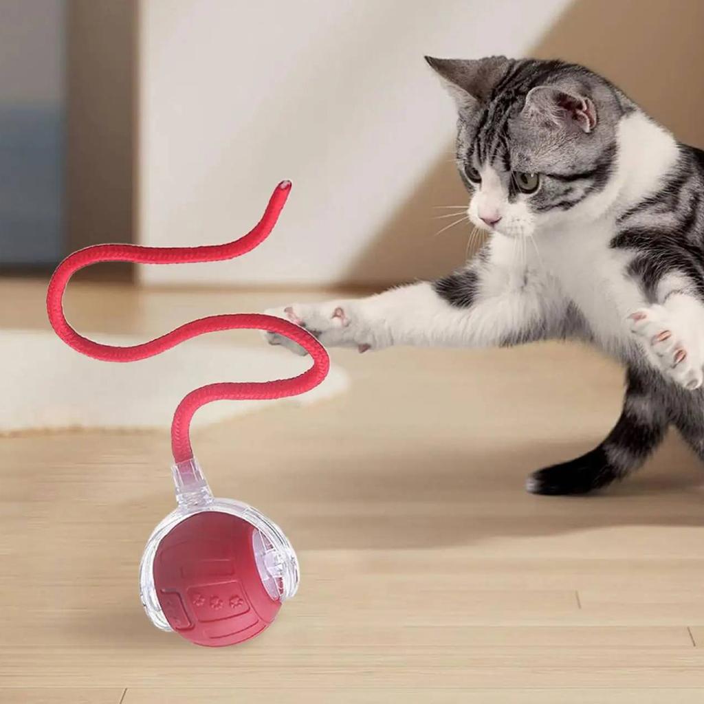 Interactive Cat Toy Ball Rechargeable Cat Enrichment Toys Fun Exercise Toys for Small/Medium/Large Cats To Keep Them Busy