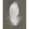 Plume déco - RAYHER - 5-10 cm - Blanc - 5 g - Naturel