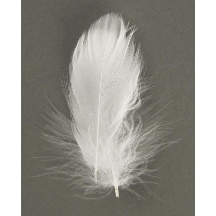 Plume déco - RAYHER - 5-10 cm - Blanc - 5 g - Naturel
