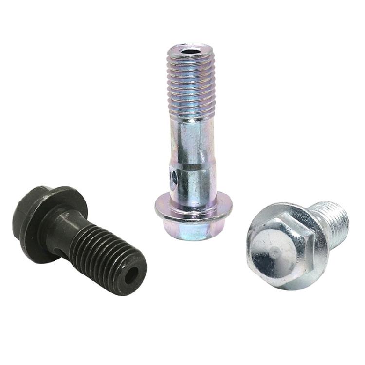 10 Pcs Brake Caliper Banjo Bolts Screws with Washers Motorcycle Accessories