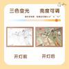Heaven Official's Blessing Painting Lamp Tian Guan Ci Fu Night Light for BL Fans